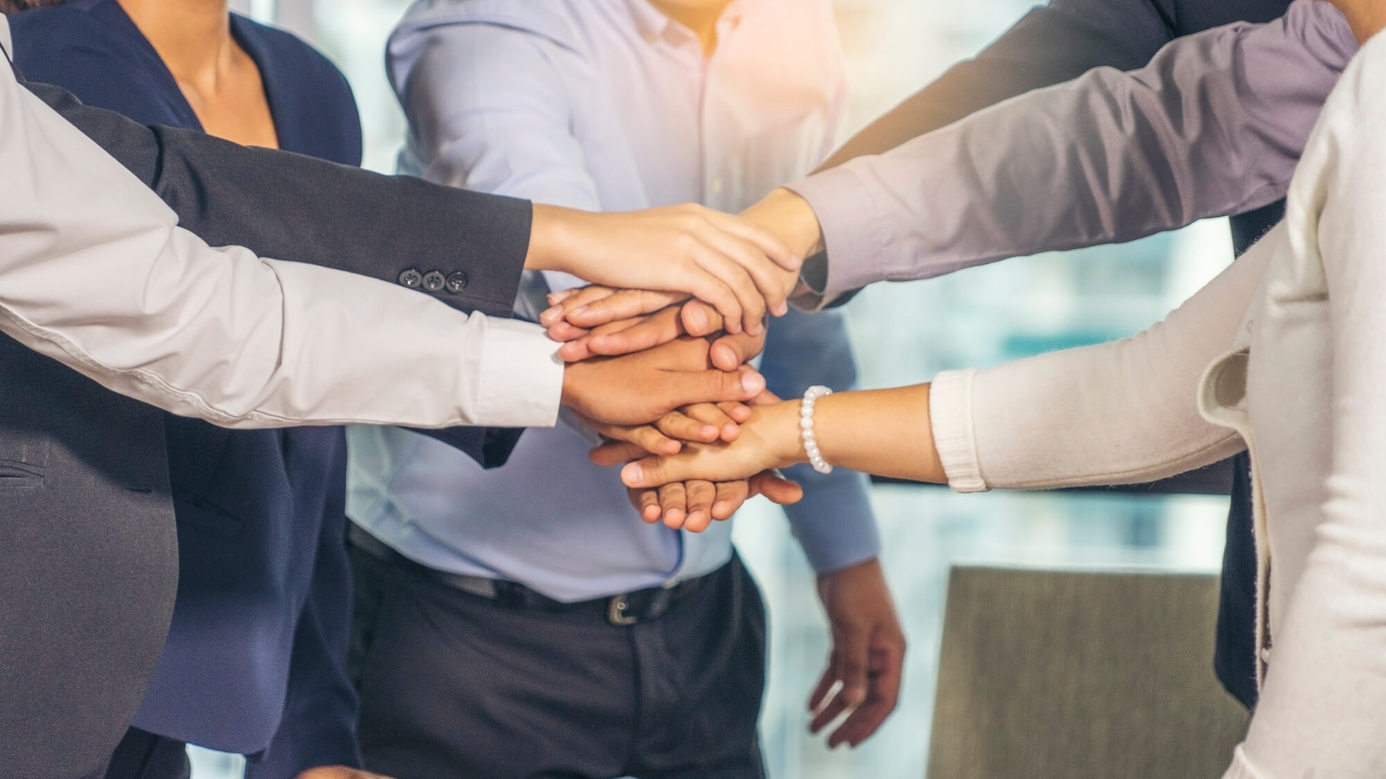 Primalux Franchising Network